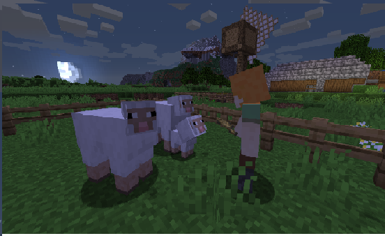 Screenshots vom server